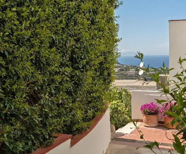 Town Apartament Capri